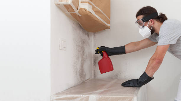 Professional Bathroom Mold Removal technician working in Louisa, KY
