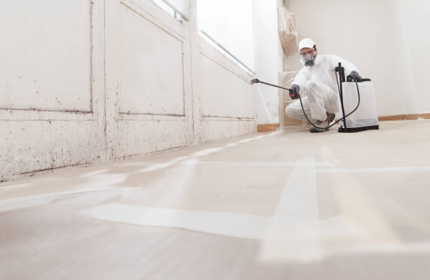 24/7 Emergency Bathroom Mold Removal experts in Louisa, KY